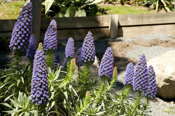 Astuces Incontournables pour un Entretien Impeccable de Votre Piscine